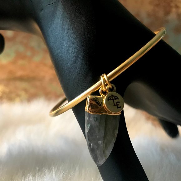 LENNY & EVA BANGLE BRACELET QUARTZ NWT - Picture 1 of 12